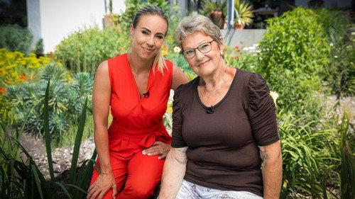 Hinter den Hecken Season 6 Episode 7 - Episode 7