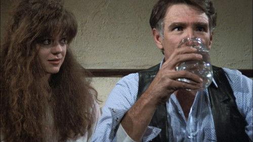 Hill Street Blues Season 6 Episode 13 - Das Blues