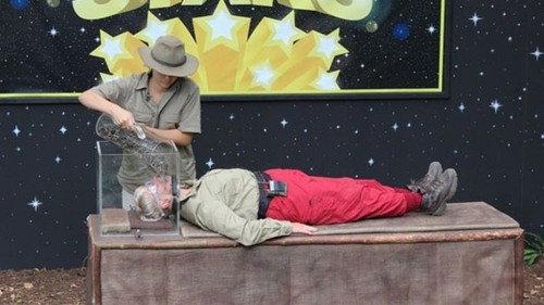 I'm a Celebrity...Get Me Out of Here! Season 13 Episode 14 - Who Dares Wins Stars