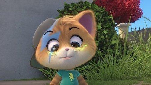 44 Cats Season 1 Episode 25 - Ambrogio, the Stylist Cat