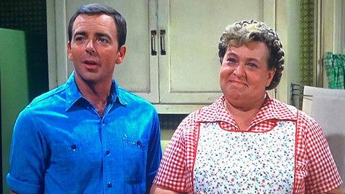 Mayberry R.F.D. Season 2 Episode 9 - The New Farmhand