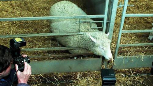 Ossi di Seppia - Il rumore della memoria Season 2 Episode 23 - Episode 23