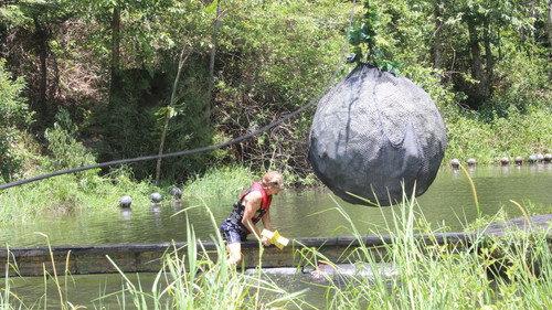 I'm a Celebrity...Get Me Out of Here! Season 14 Episode 16 - Boulder Dash