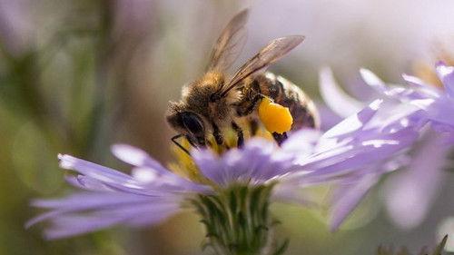 Springwatch Season 17 Episode 3 - Episode 3