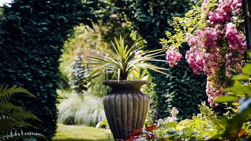 Hinter den Hecken Season 3 Episode 8 - The colour garden