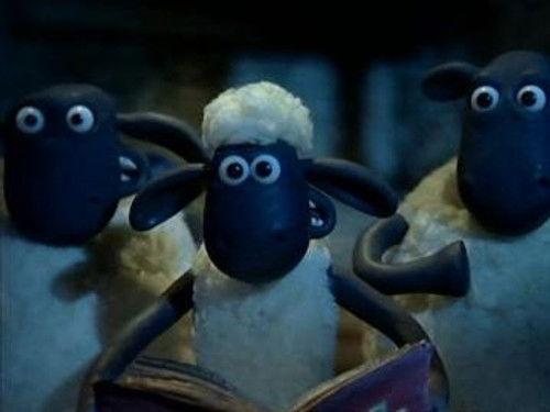 Shaun the Sheep Season 1 Episode 26 - Tooth Fairy
