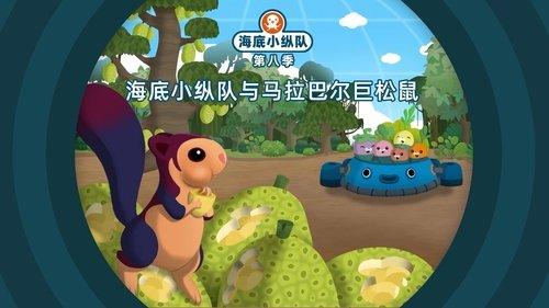 Octonauts Season 8 Episode 5 - Episode 5