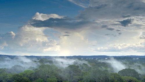 H2O: The Molecule that Made Us Season 1 Episode 1 - Pulse