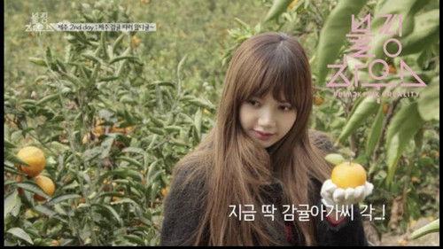 BLACKPINK HOUSE Season 1 Episode 51 - (BLACKPINK HOUSE)’ EP.11-1