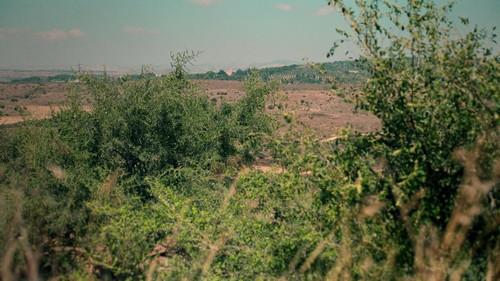 The Beauty Queen of Jerusalem Season 2 Episode 8 - Episode 8