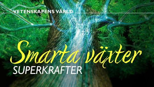 Vetenskapens värld Season 51 Episode 1 - Episode 1