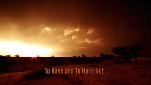 Meerkat Manor Season 4 Episode 1 - To Have and to Have Not