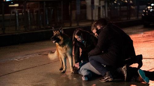 Hudson & Rex Season 5 Episode 20 - One for the Road