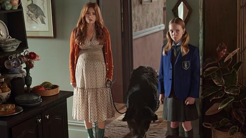 Wolf Like Me Season 2 Episode 6 - Episode 6