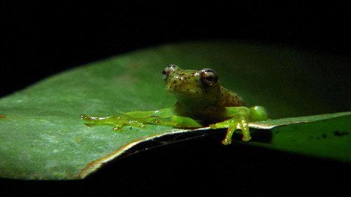 Stories from the Vaults Season 2 Episode 3 - Nature's Vault