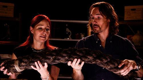 Digging for Britain Season 7 Episode 2 - West