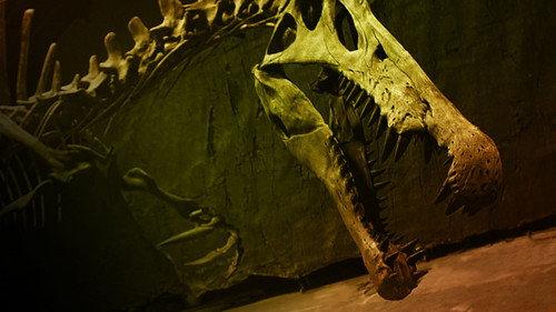 NOVA Season 42 Episode 7 - Bigger Than T. rex