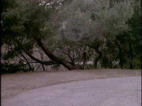 undefined Season 1 Episode 15 - The Enemy Within