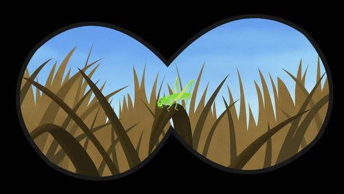 Wild Kratts Season 1 Episode 31 - The Food Chain Game