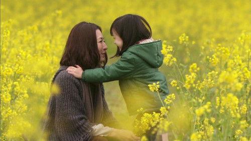 Mother Season 1 Episode 1 - Escape from child abuse, the two who became the birds of passage