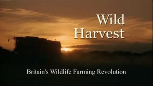 Natural World Season 24 Episode 9 - Wild Harvest