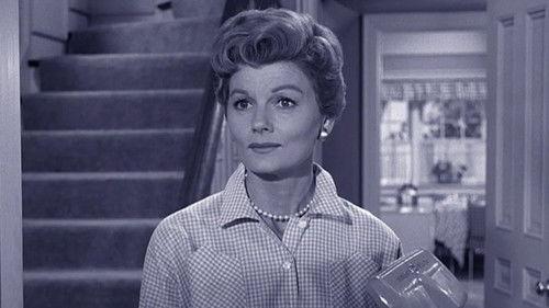 Leave It to Beaver Season 3 Episode 14 - Tire Trouble