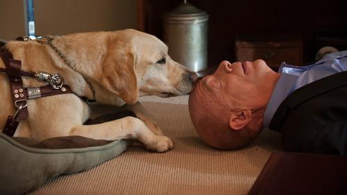 Background image for Secret Lives of Fishers