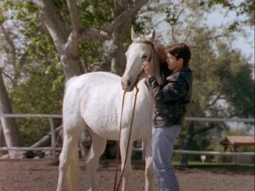 Power Rangers Season 7 Episode 11 - Silent Sleep