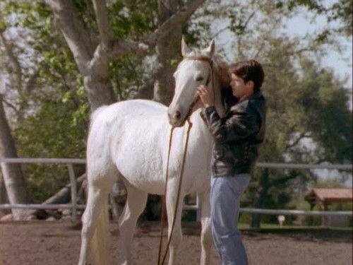 undefined Season 7 Episode 11 - Silent Sleep