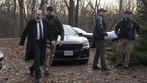 Homeland Season 7 Episode 8 - Lies, Amplifiers, F**king Twitter