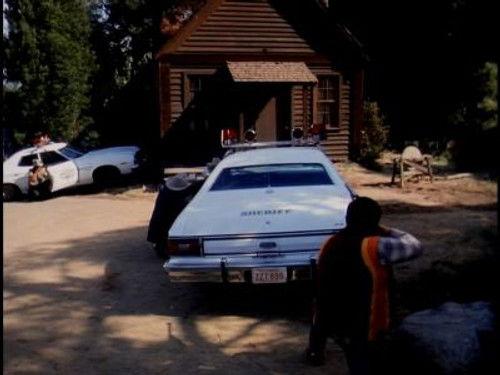 The Incredible Hulk Season 2 Episode 22 - Vendetta Road