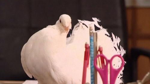 Our Russia Season 4 Episode 16 - Episode 16