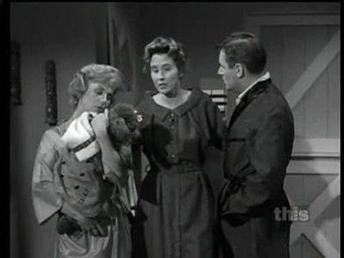 Mister Ed Season 1 Episode 15 - Ed the Stoolpigeon