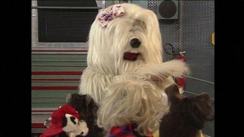 TV Colosso Season 1 Episode 12 - Episode 12