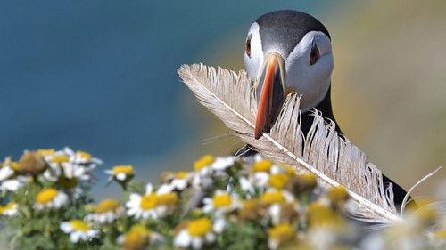 Springwatch Season 19 Episode 7 - Episode 7