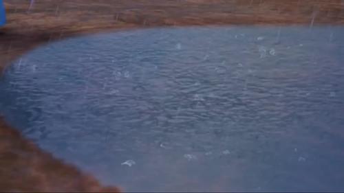 Puppy Dog Pals Season 1 Episode 23 - Leave It To Beavers