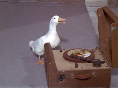 Green Acres Season 6 Episode 21 - A Girl for Drobny