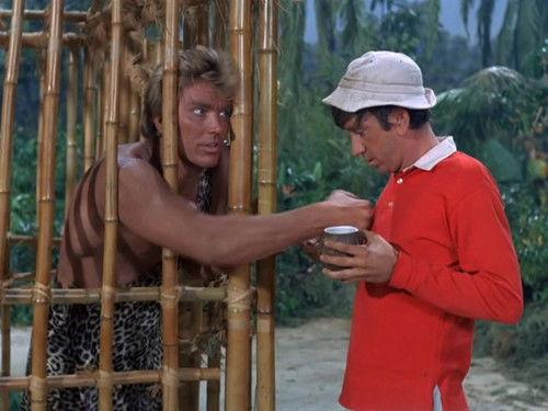 Gilligan's Island Season 3 Episode 20 - Our Vines Have Tender Apes