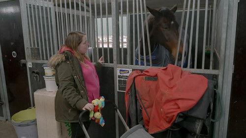 Urk! Season 8 Episode 1 - Episode 1