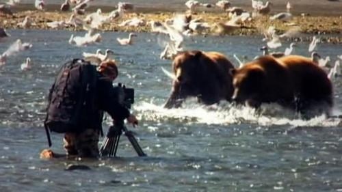 Was ist Was TV Season 2 Episode 18 - Bears