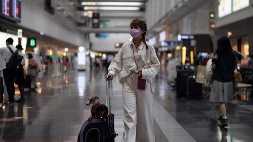 Foreign Correspondent Season 31 Episode 2 - Flying Solo