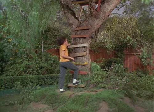 The Brady Bunch Season 2 Episode 11 - What Goes Up...