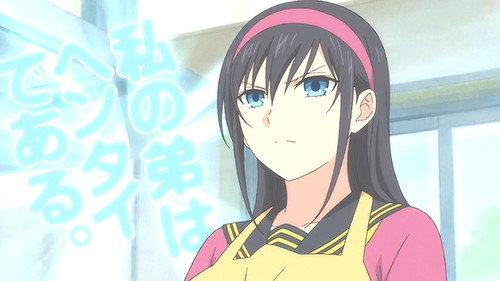 Ane Log Season 1 Episode 1 - My Little Brother is a Pervert