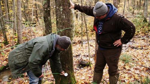 A Chef at the Shack Season 5 Episode 6 - Episode 6