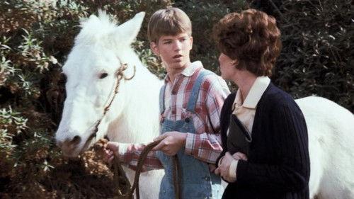 The Waltons Season 5 Episode 18 - The Hero