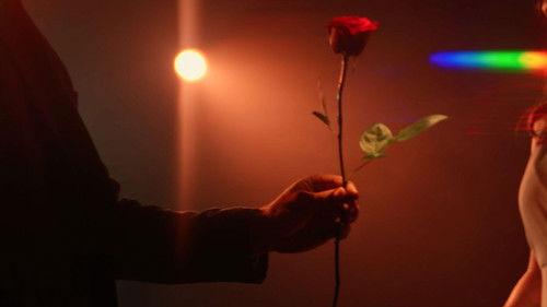 Dark Side of the 2000s Season 1 Episode 7 - The Bachelor:  Every Rose has Its Thorn