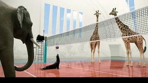 Athleticus Season 1 Episode 16 - Episode 16