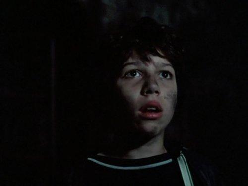 The Famous Five Season 1 Episode 8 - Five Go Off to Camp (2)