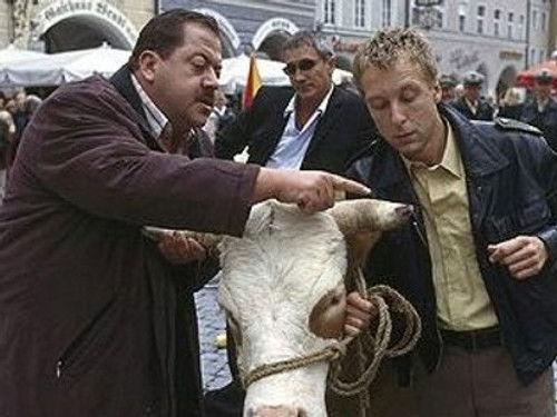 Die Rosenheim-Cops Season 3 Episode 2 - Nur die Kuh war Zeuge