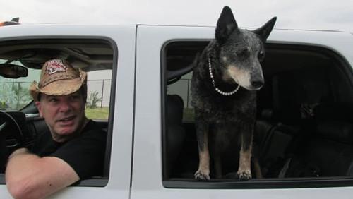 Street Outlaws Season 3 Episode 6 - Dallas Cash Days